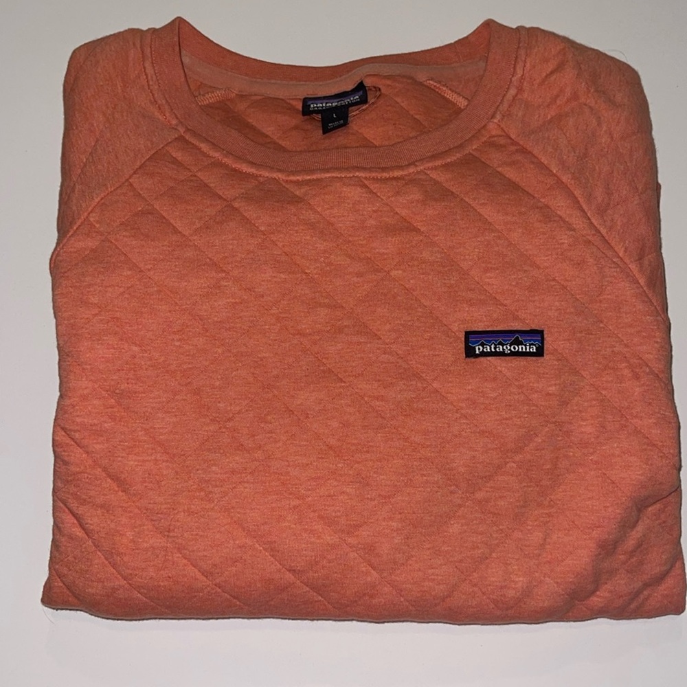 Patagonia Organic Cotton Pullover